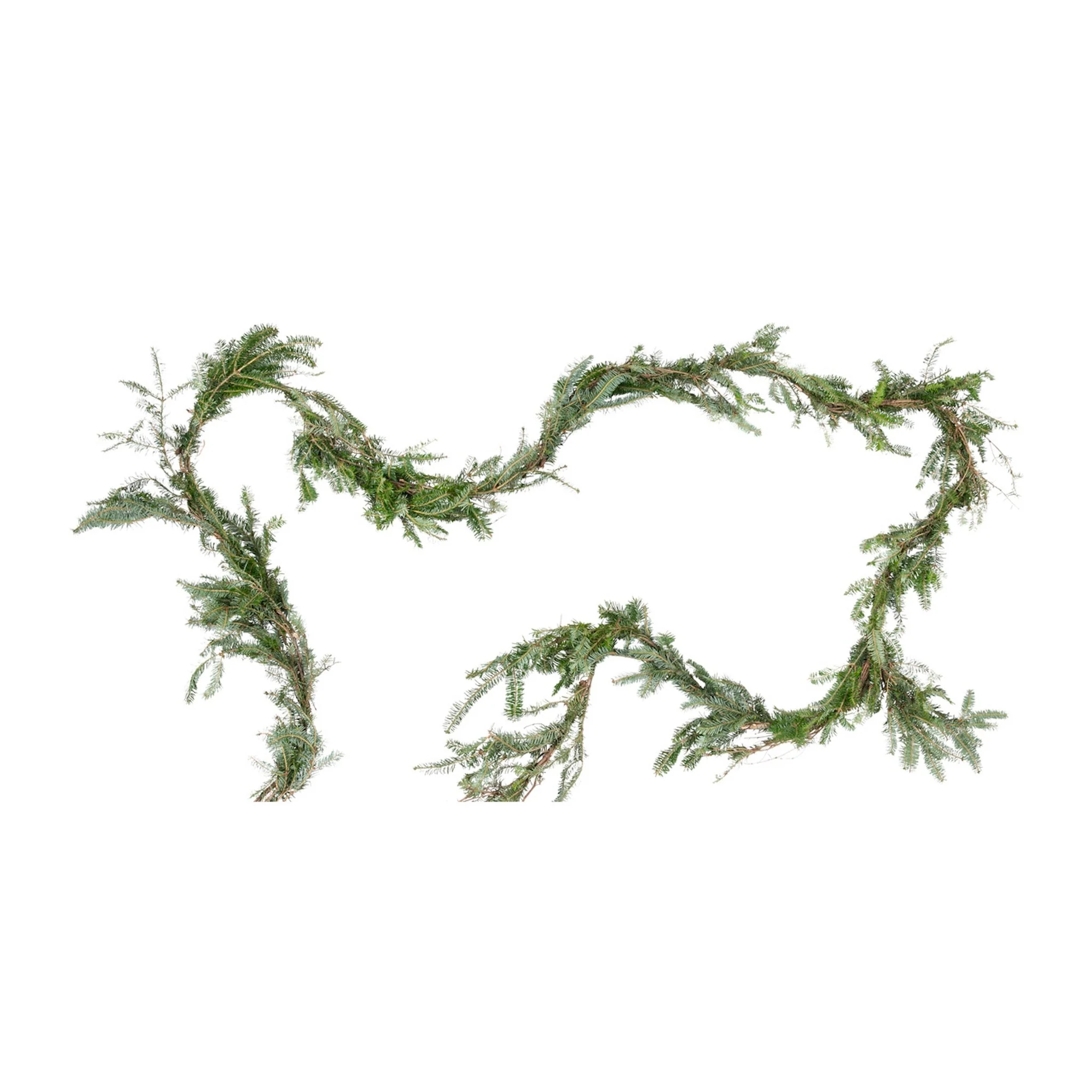 25 Ft. Fraser Fir Garland - Image 3