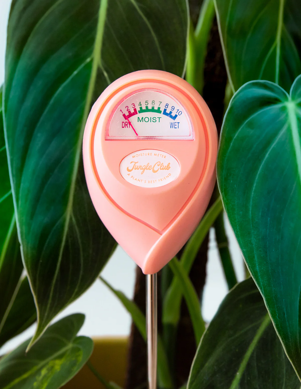 Moisture Meter - Image 3