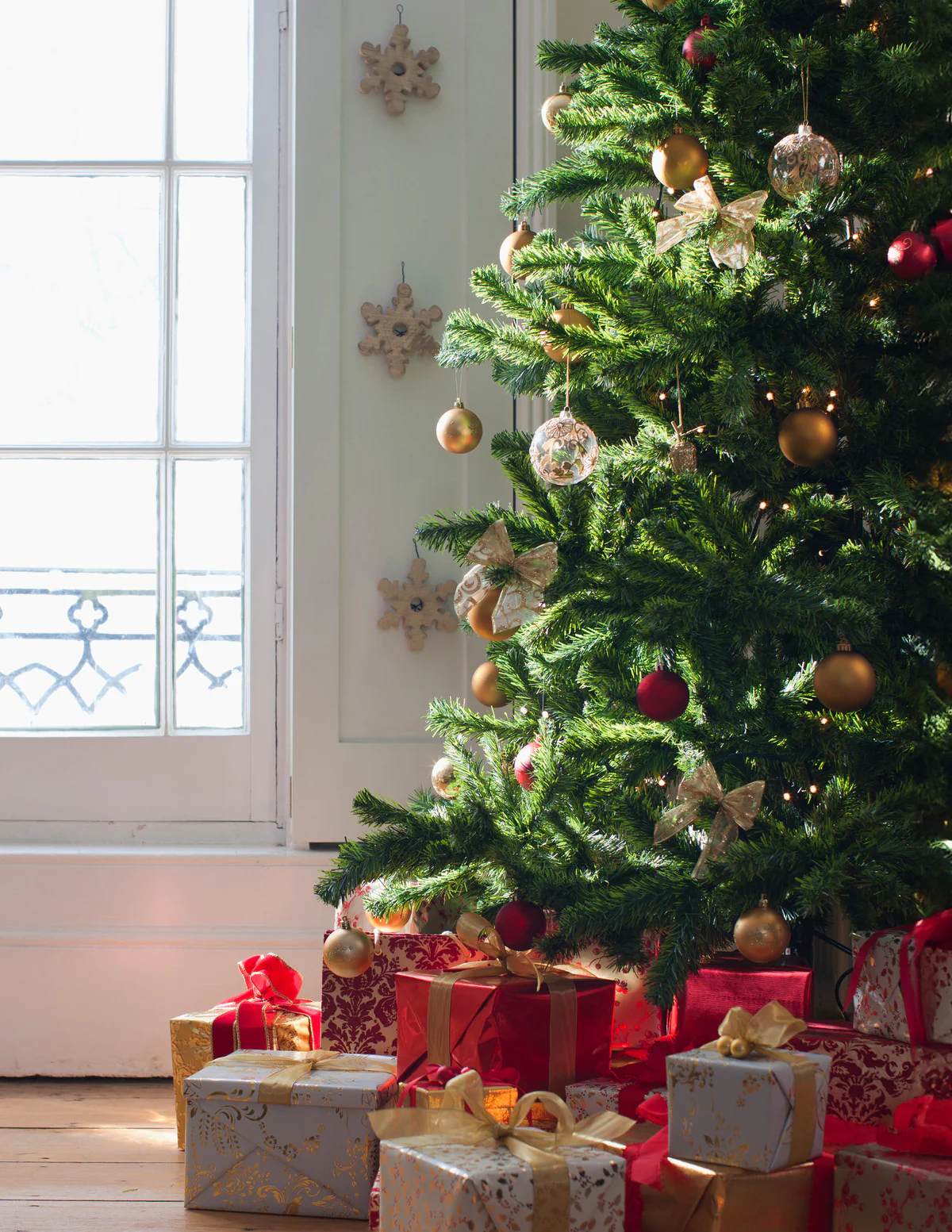 6 Ft. Fraser Fir Tree (Live Cut) - Image 4
