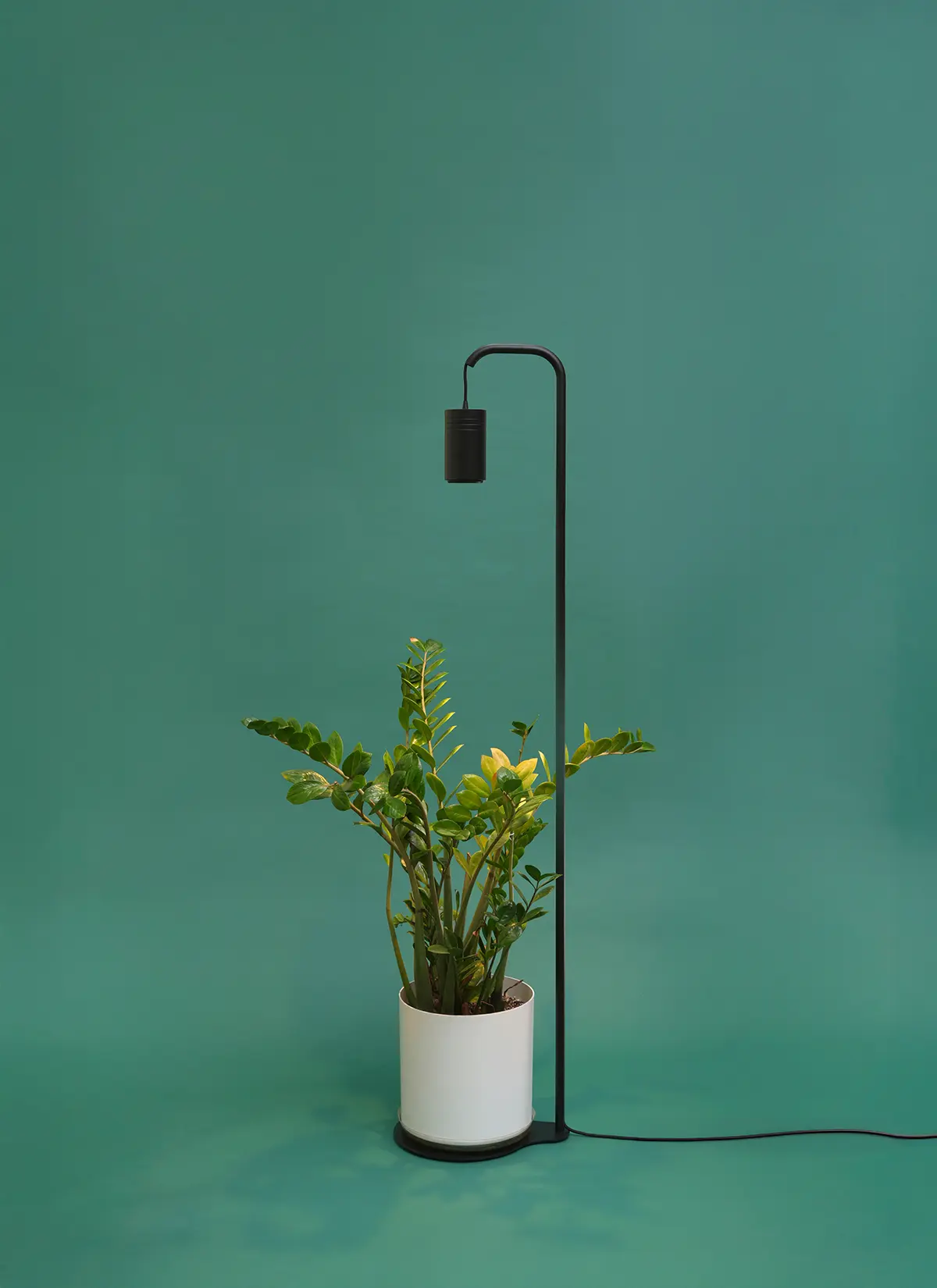 Aspect Grow Light with Stello Pendant Stand Set - Image 3