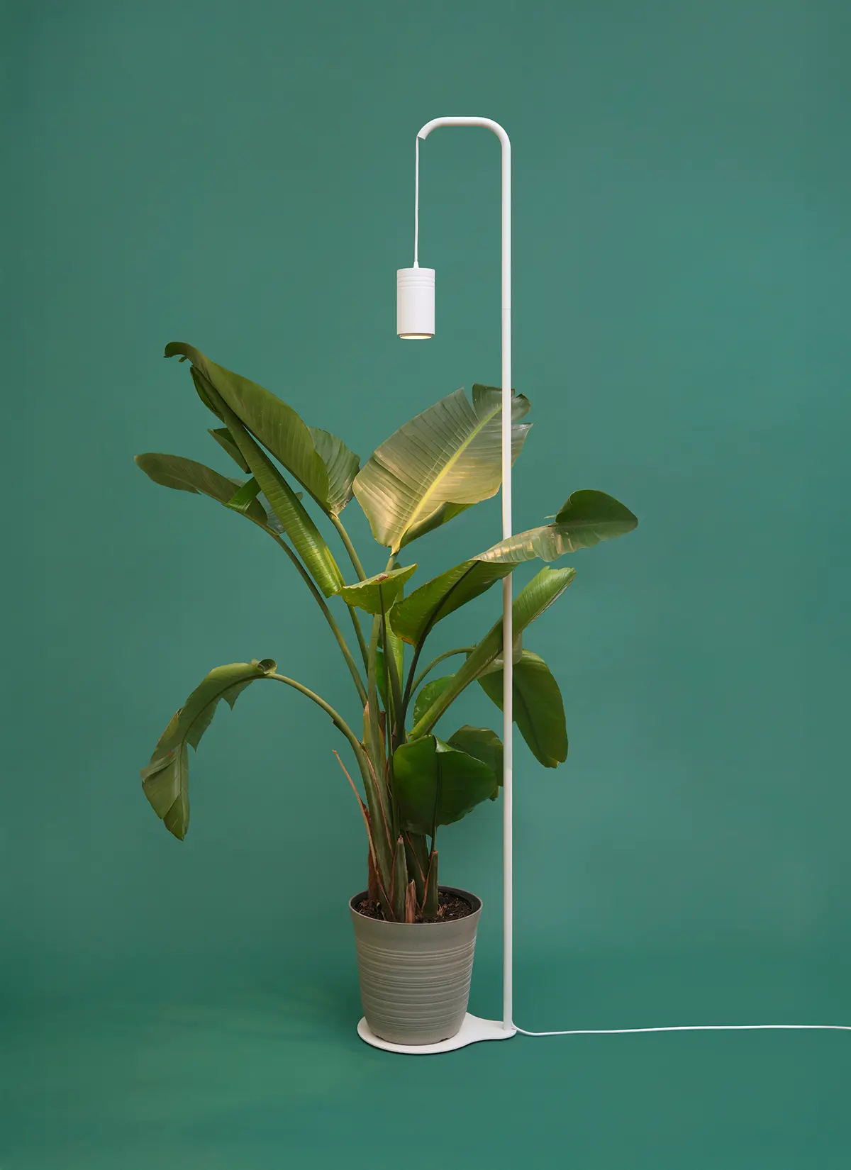 Aspect Grow Light with Stello Pendant Stand Set - Image 4