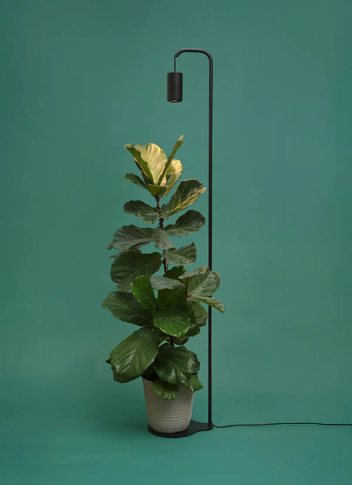Aspect Grow Light with Stello Pendant Stand Set - Image 5