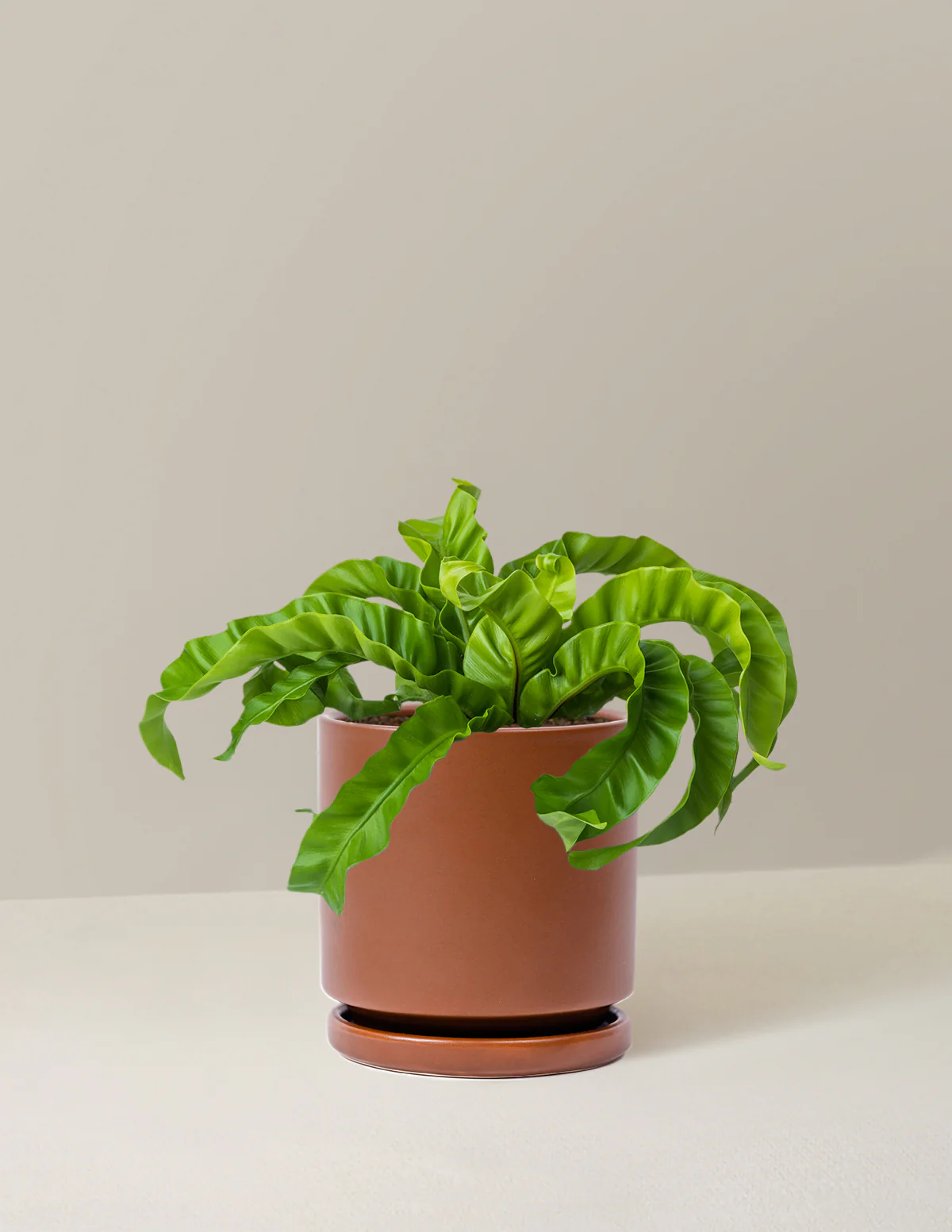 Hurricane Fern - Image 10