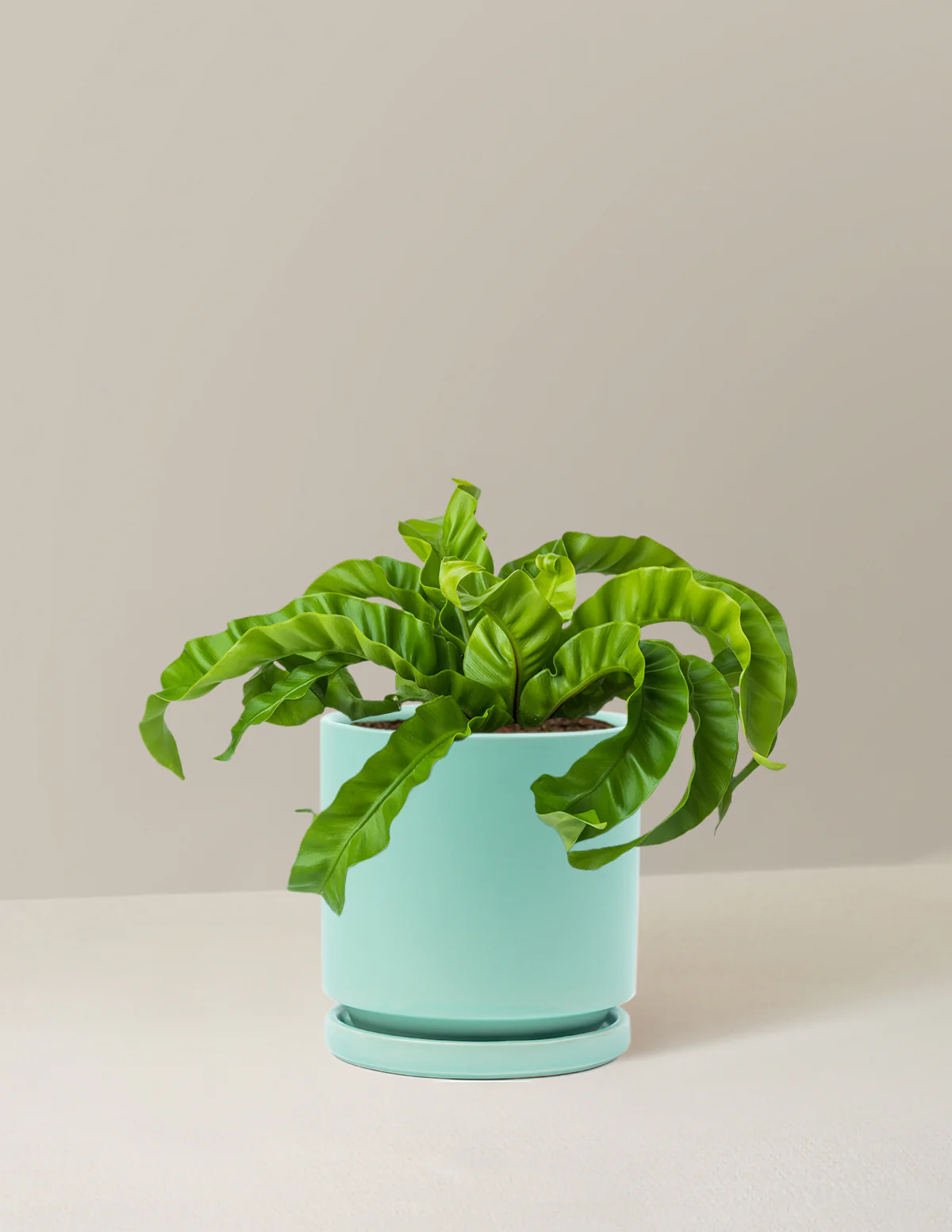 Hurricane Fern - Image 13
