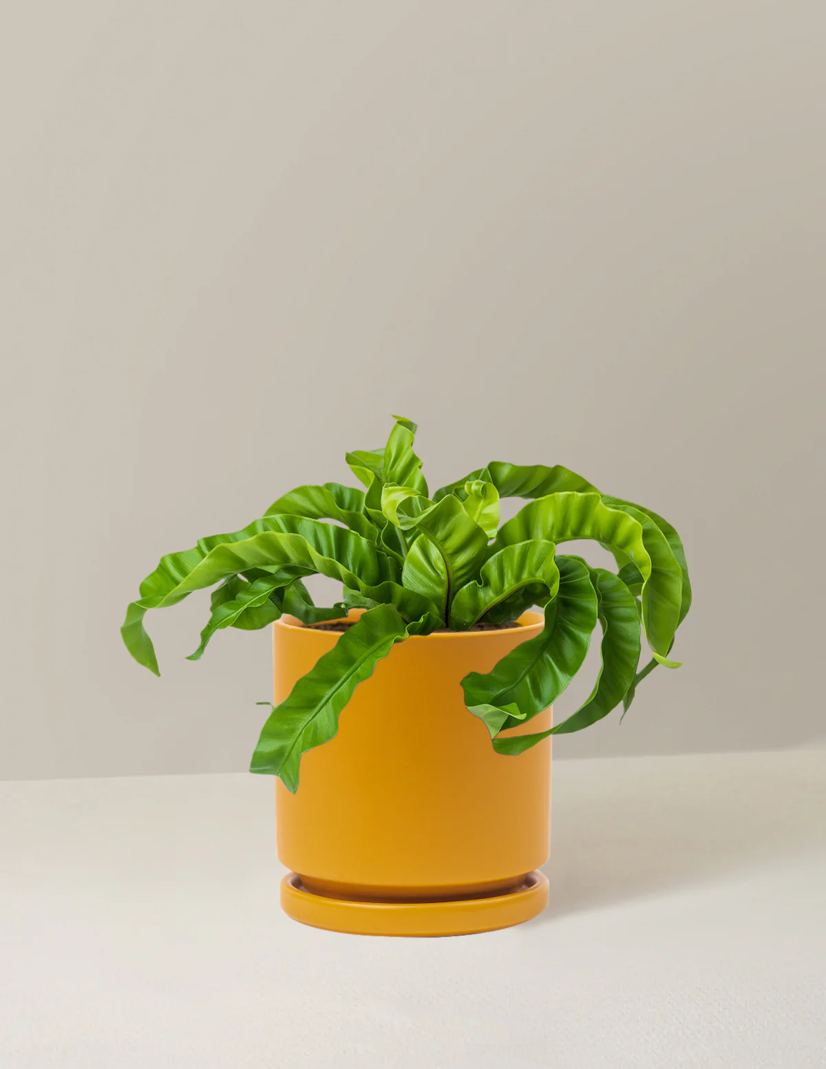 Hurricane Fern - Image 15