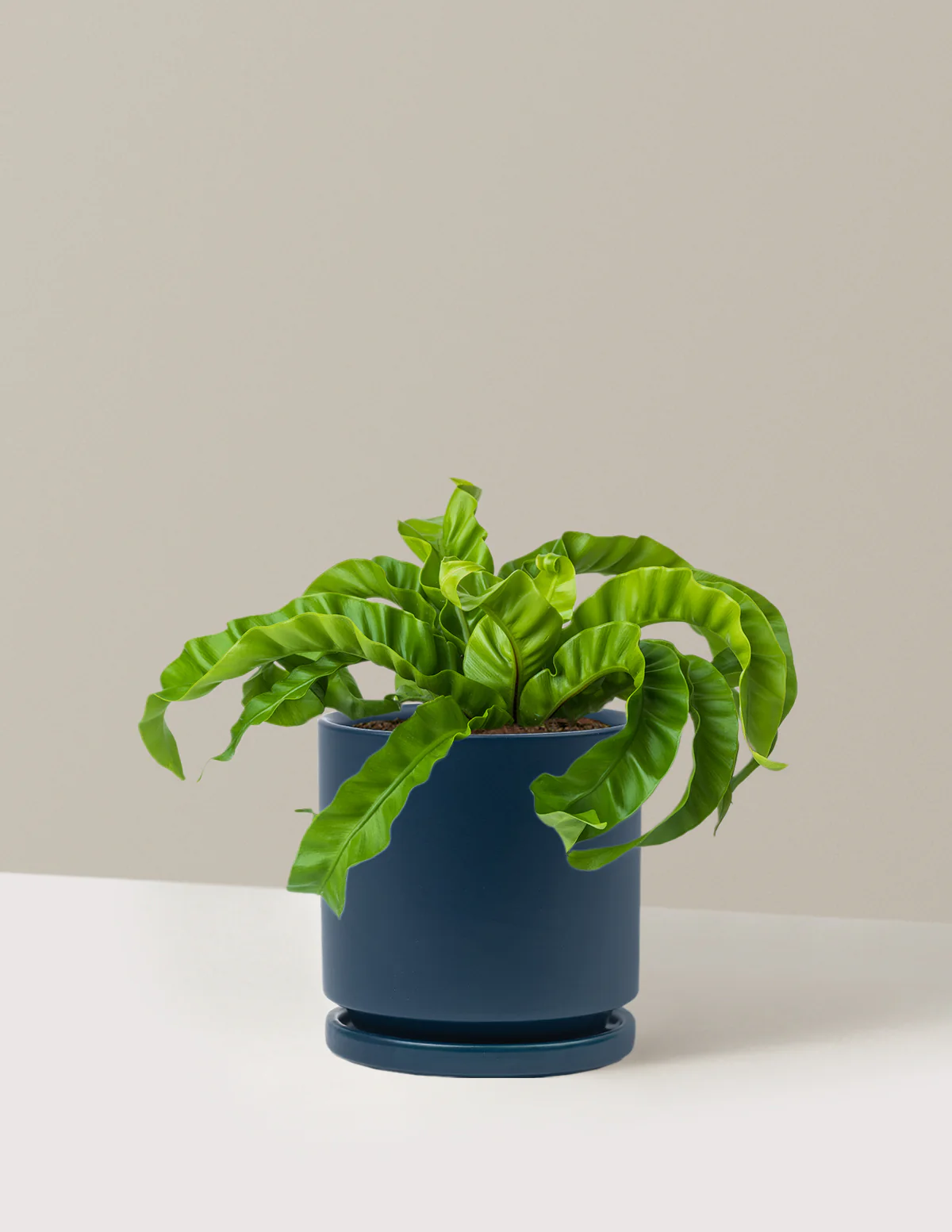 Hurricane Fern - Image 19