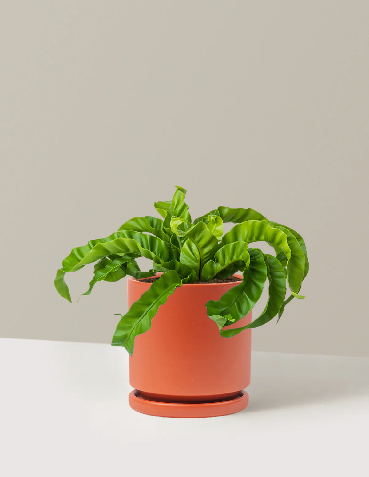 Hurricane Fern - Image 20