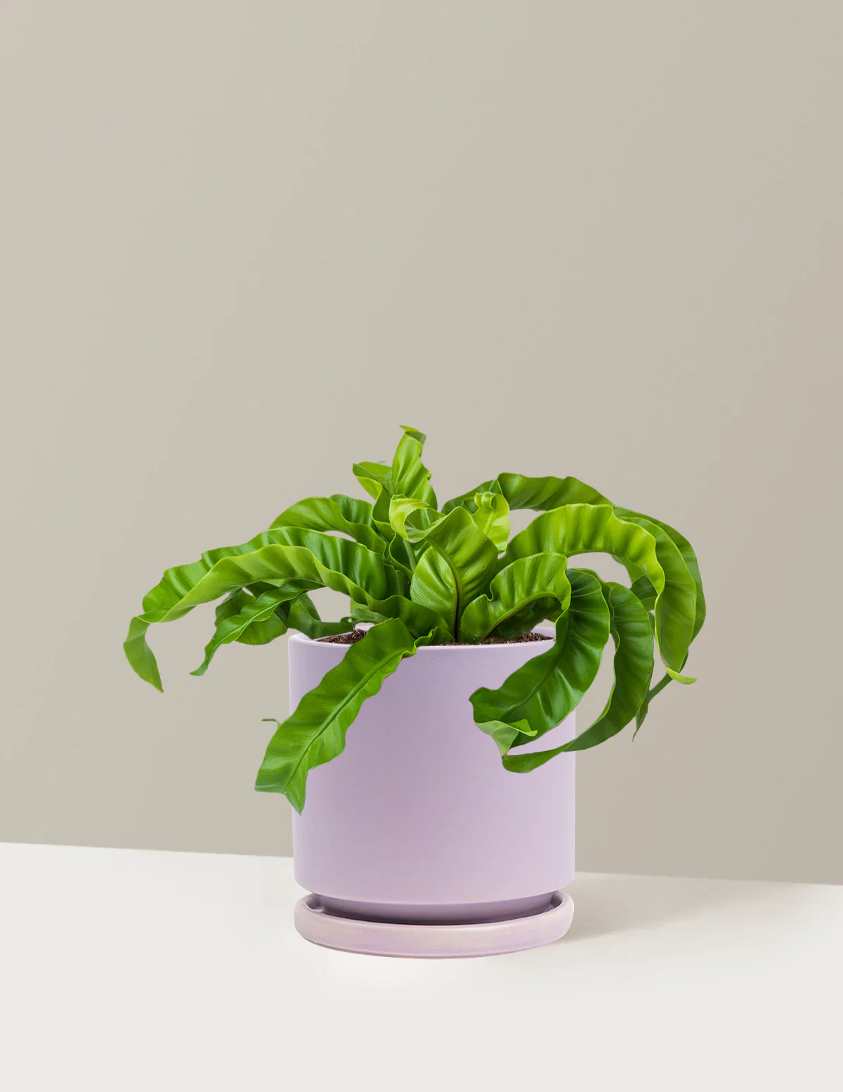 Hurricane Fern - Image 21