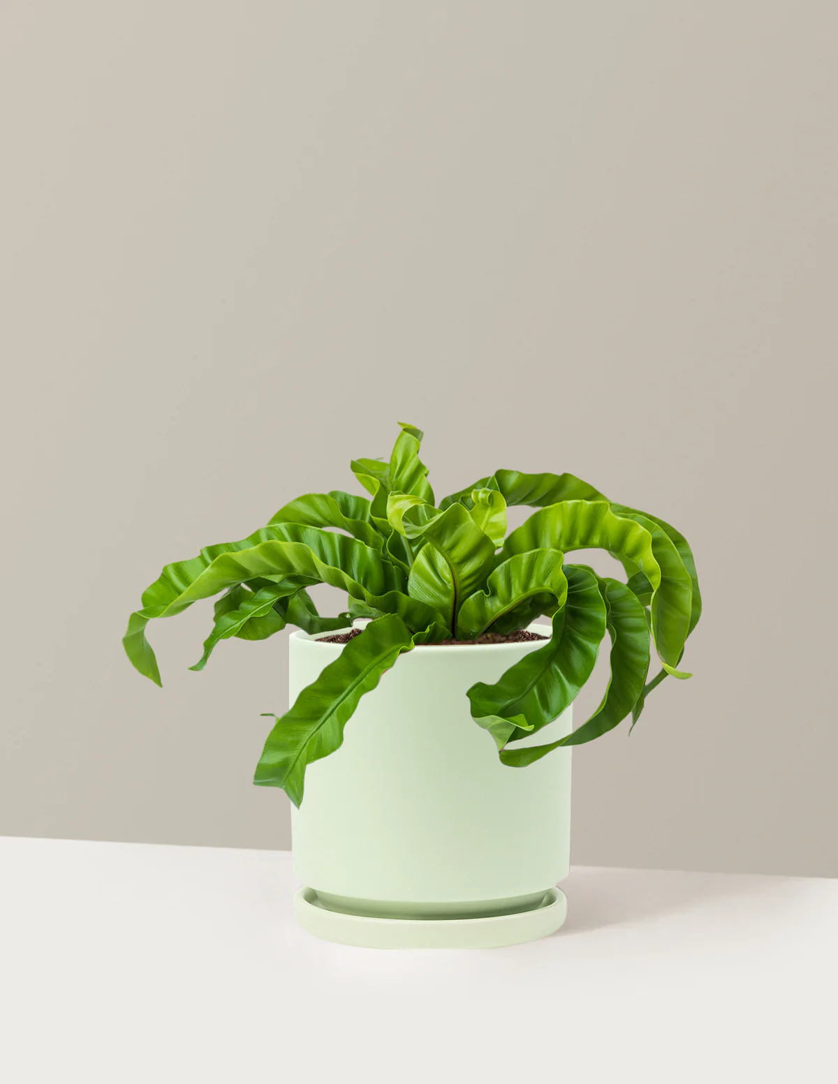 Hurricane Fern - Image 22