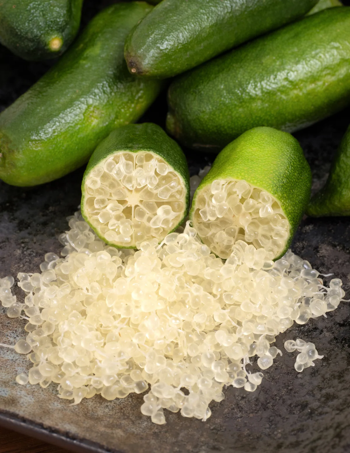 Australian Finger Lime Tree - Image 4