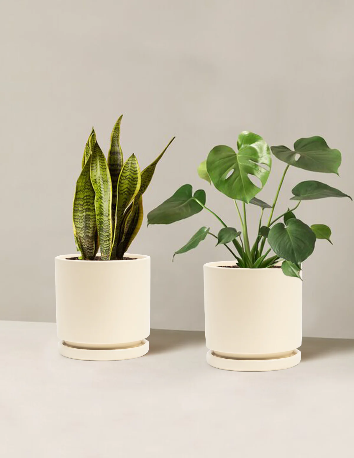 Best Sellers Duo - Image 26