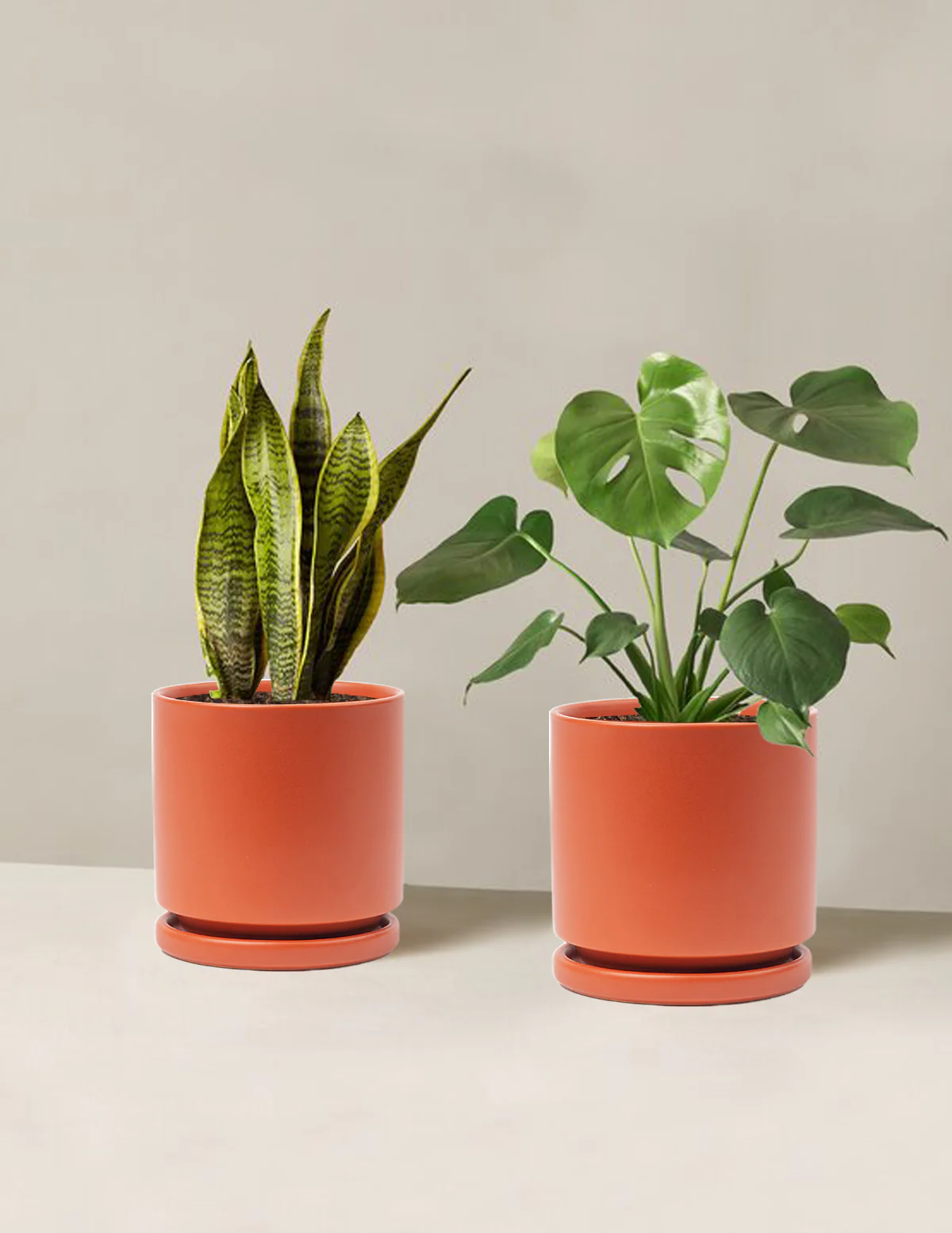 Best Sellers Duo - Image 28