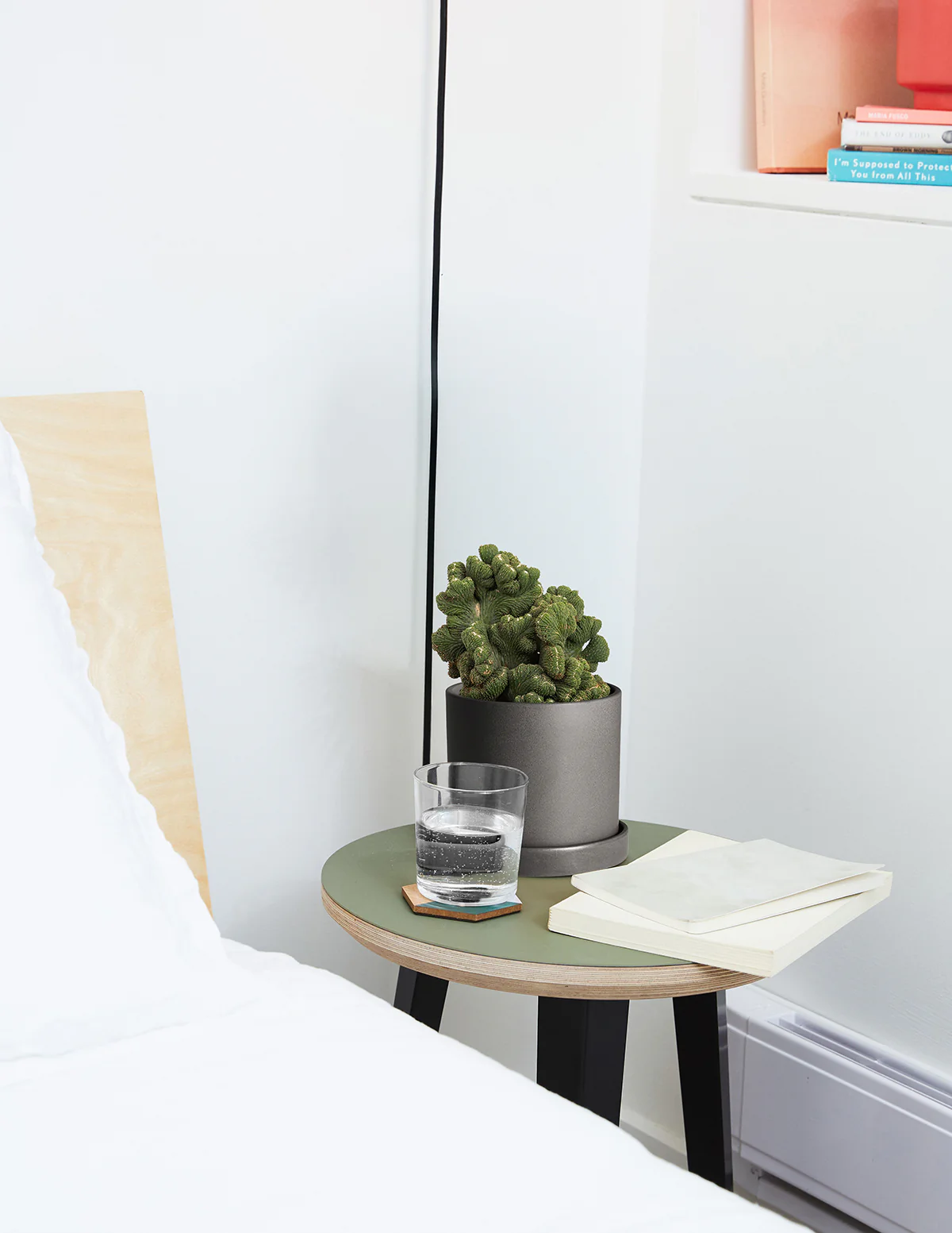 Cereus Green Coral Cactus - Image 10