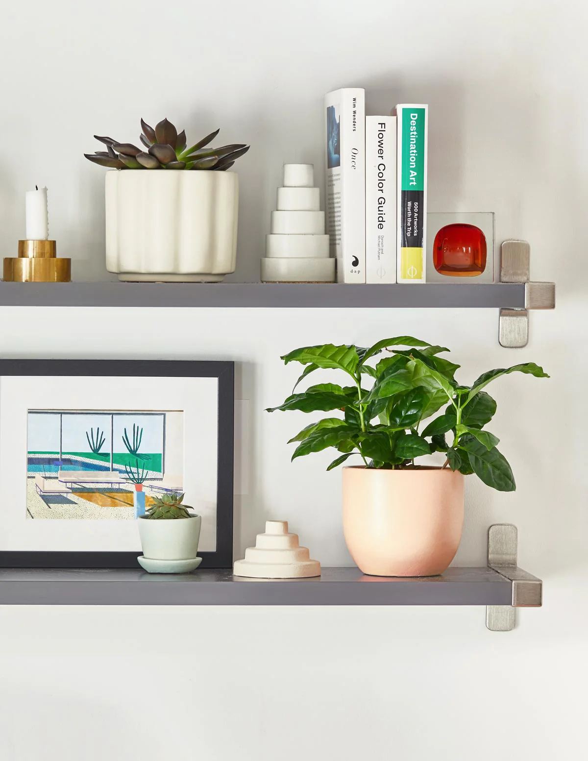 Coffee Plant - Image 2