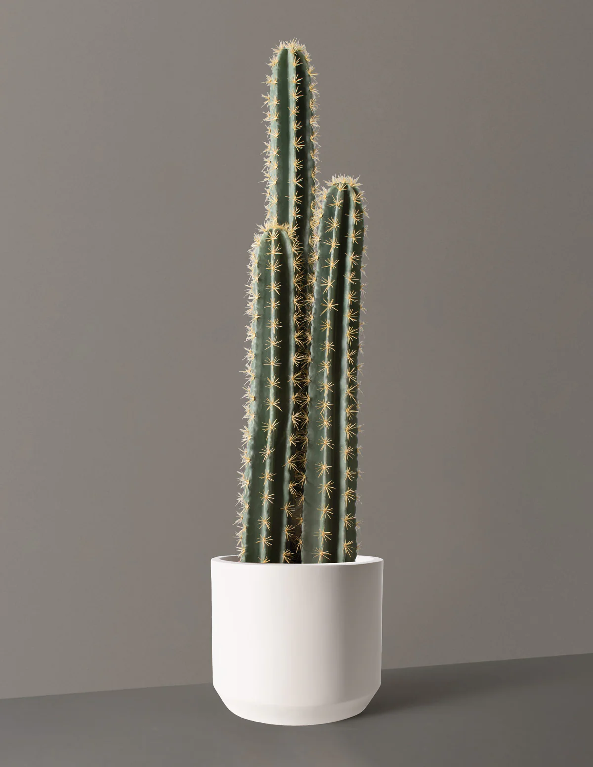 Artificial Floor Cactus - Image 4