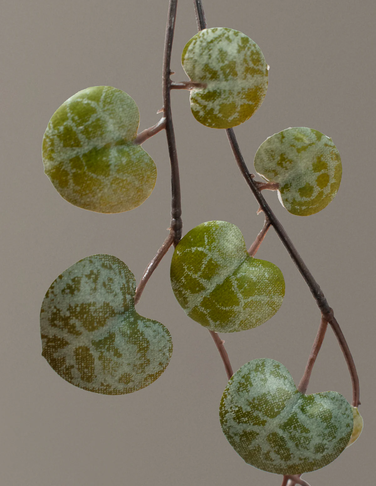 Artificial String of Hearts - Image 3