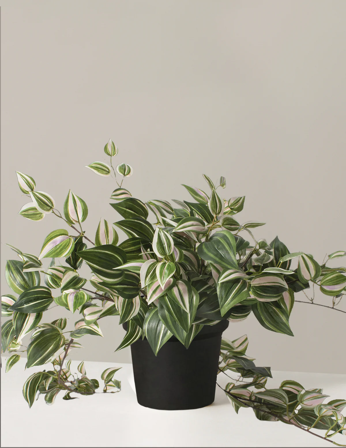 Artificial Tradescantia Zebrina - Image 2