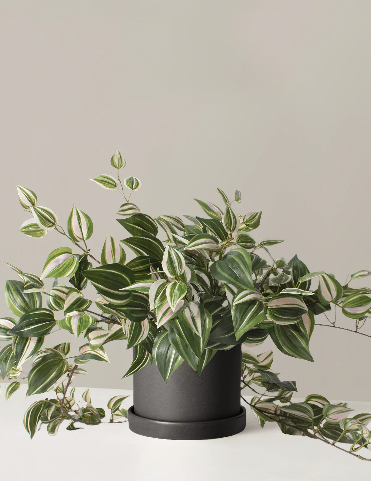Artificial Tradescantia Zebrina - Image 3