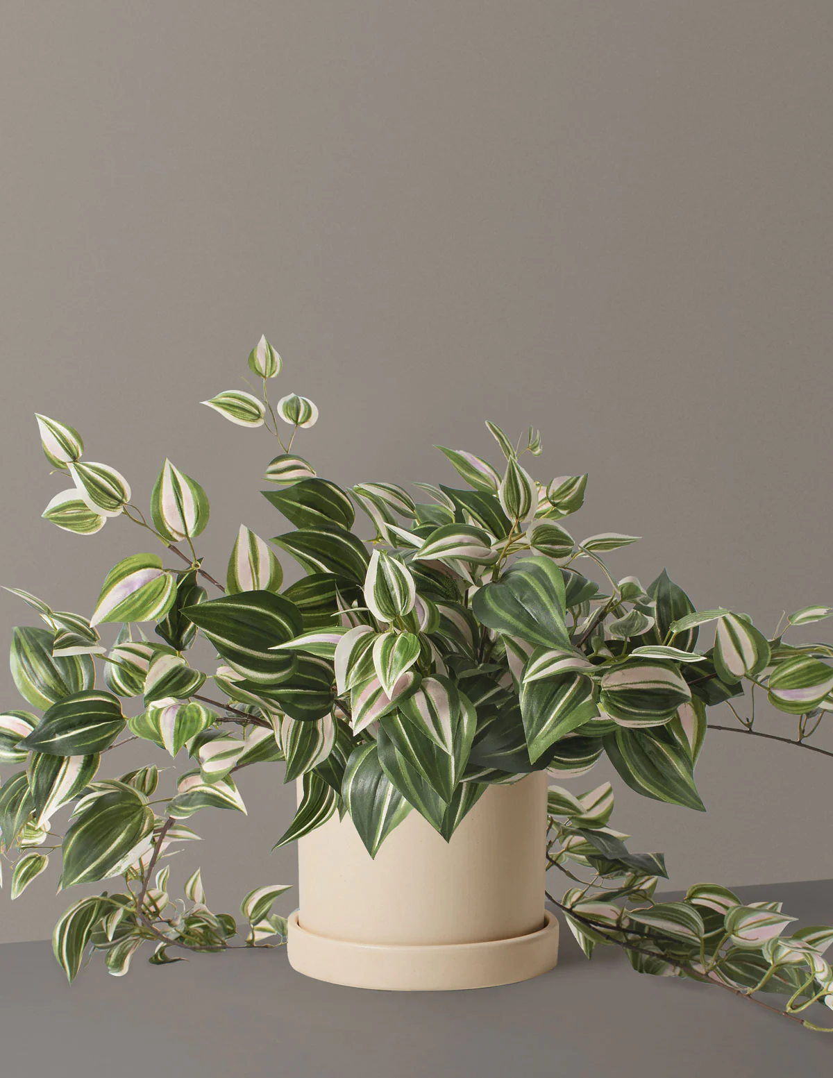 Artificial Tradescantia Zebrina - Image 4