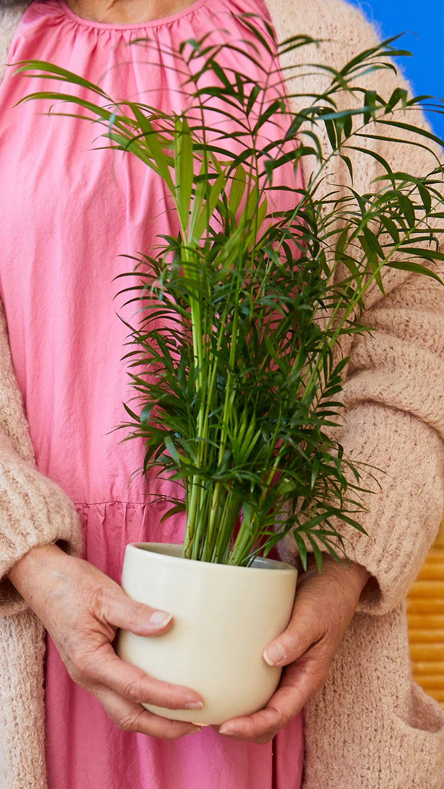 Fits your Sill: Pet Friendly Duo - Image 7