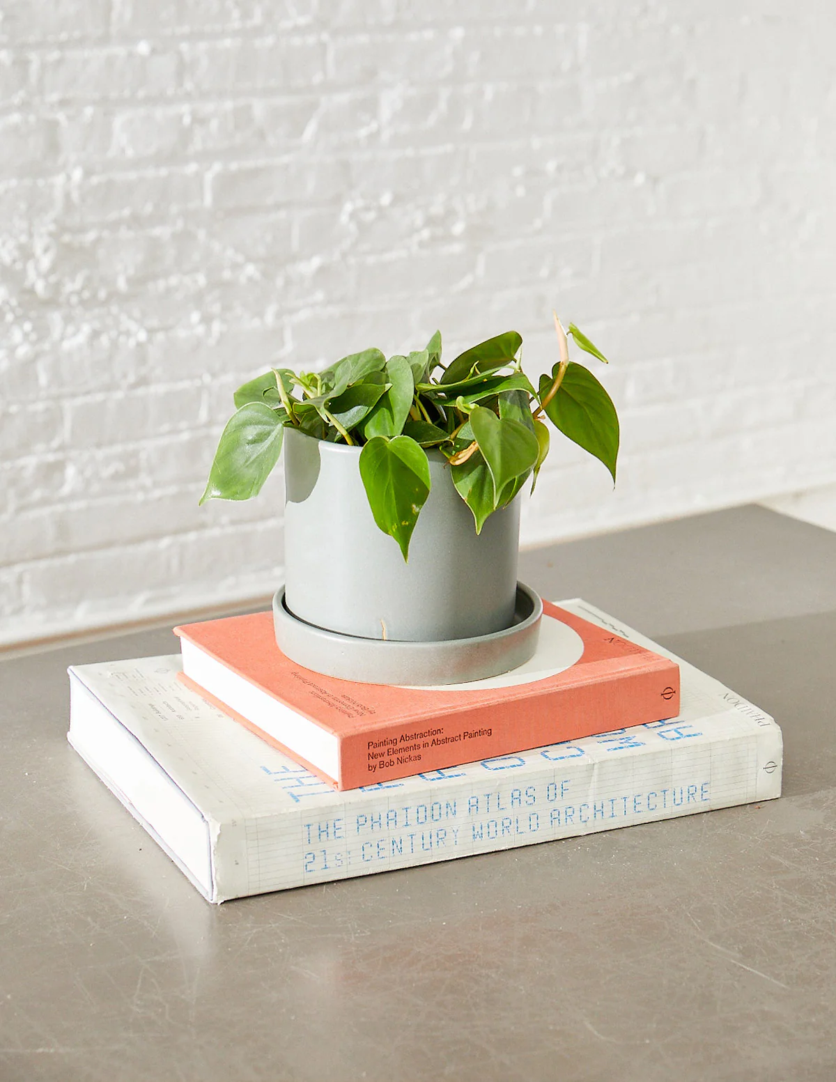 Fits your Sill: The Trailing Duo - Image 13