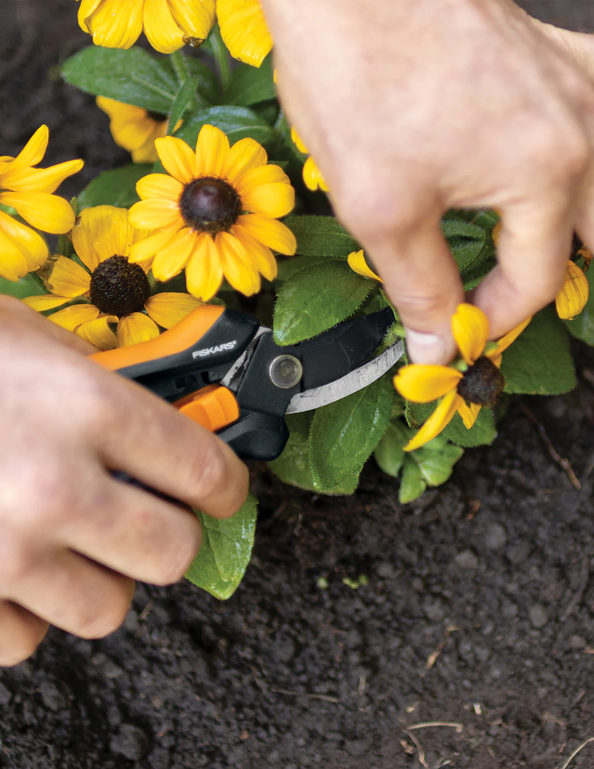 Floral Pruner - Image 3