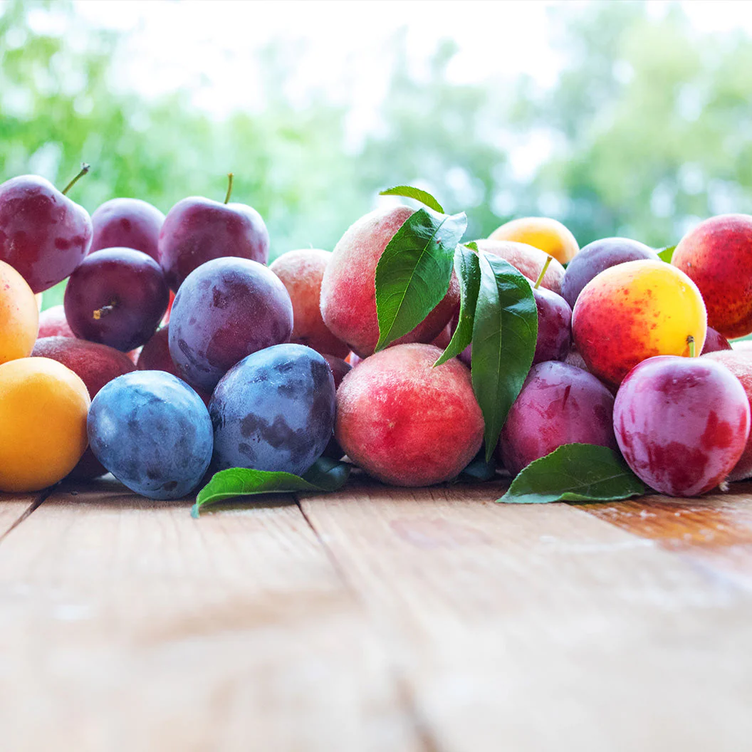 Fruit Cocktail Tree - Image 2