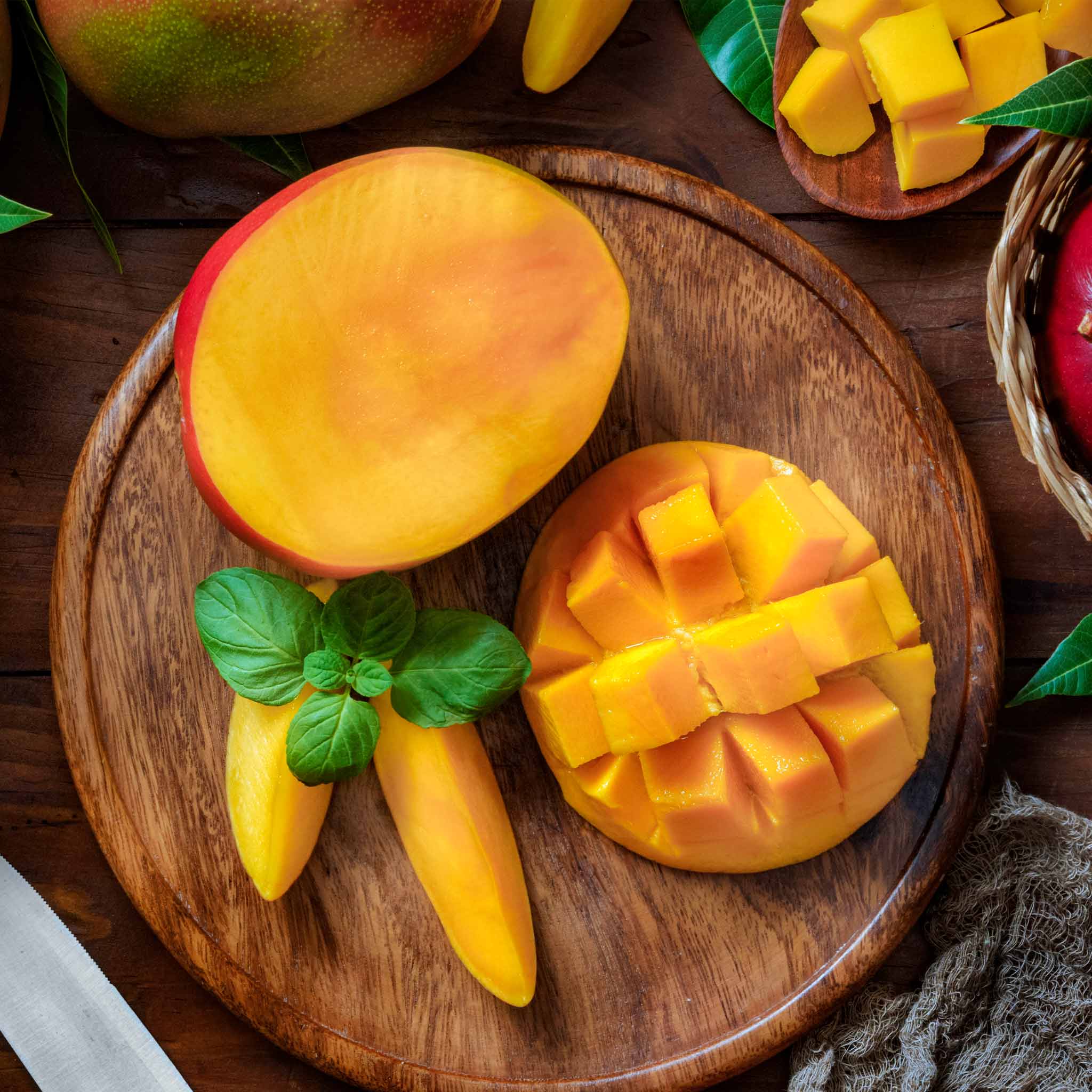 Glenn Mango Tree - Image 4