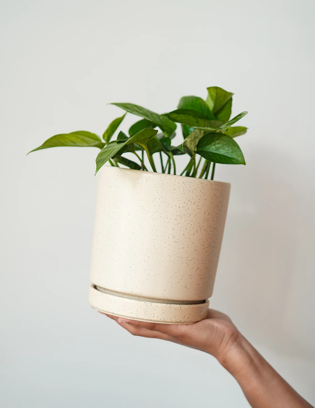 Isabella Ceramic Planter - Image 3