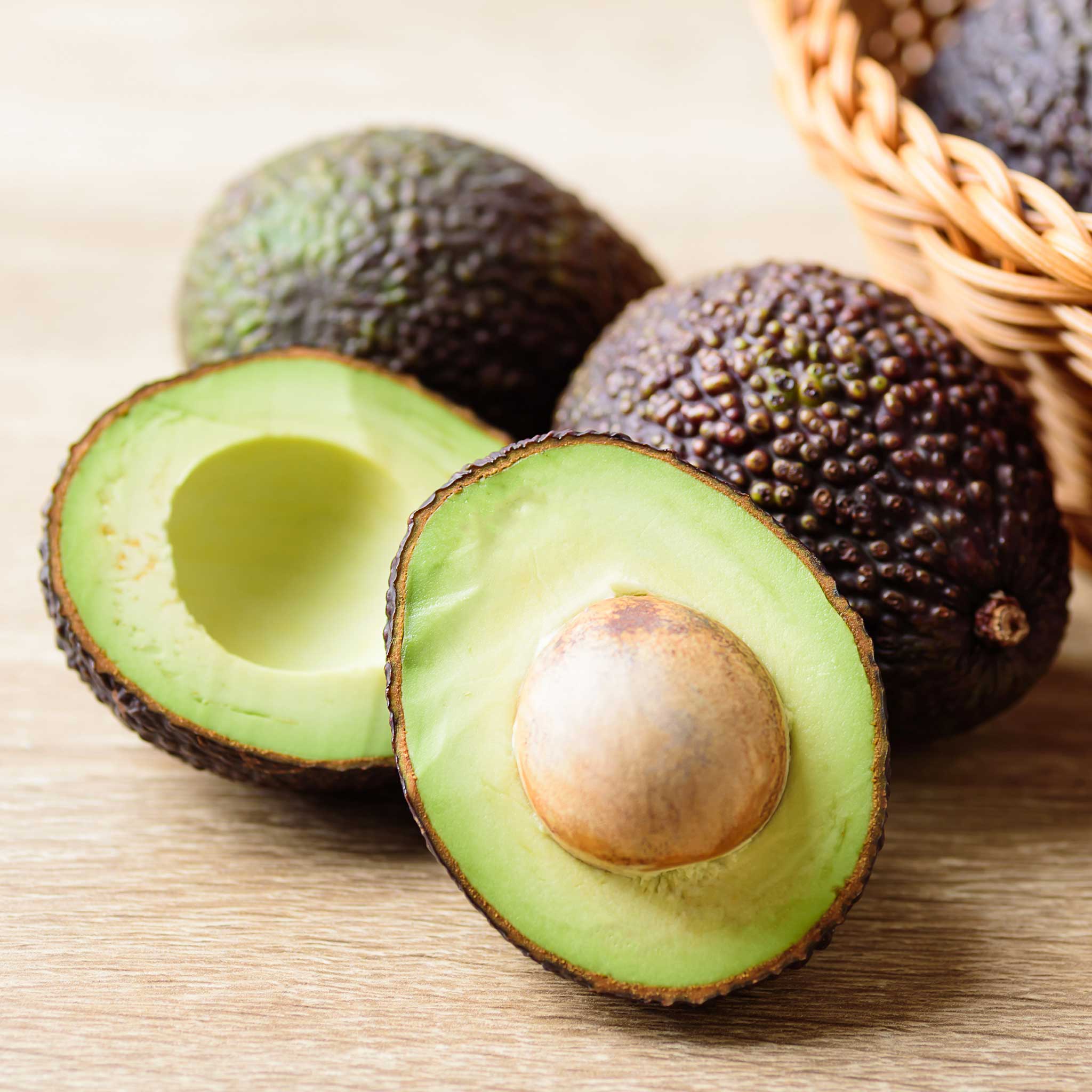 Hass Avocado Tree - Image 3
