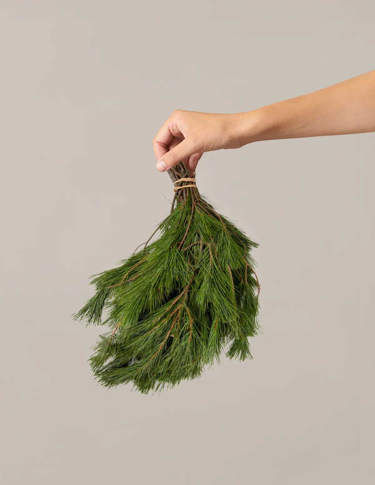 Holiday Bough Bundles - Image 5