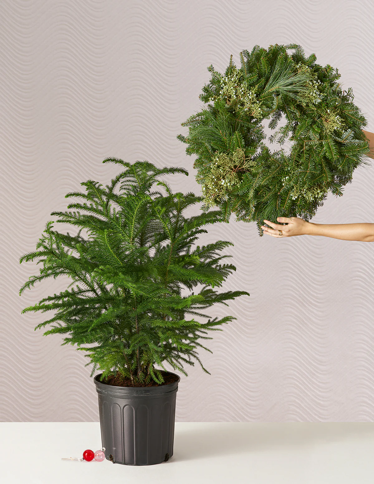Holiday Duo Deluxe - Image 10