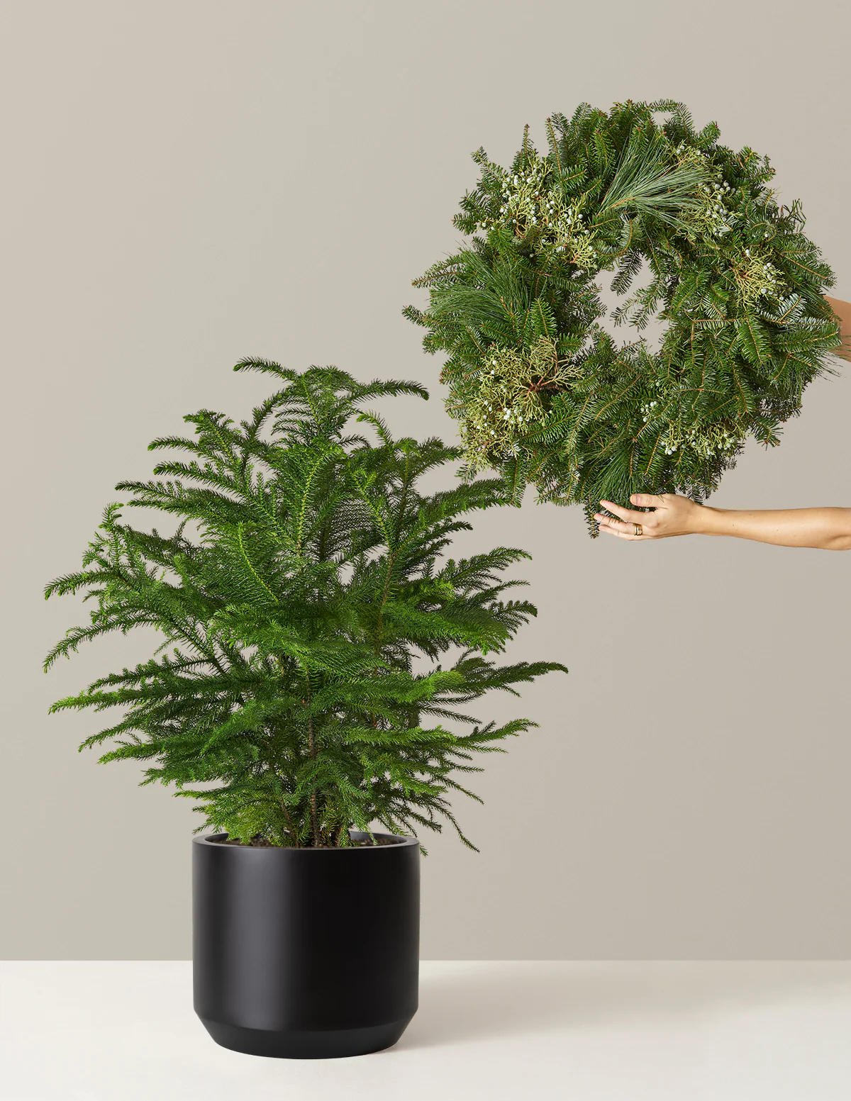 Holiday Duo Deluxe - Image 11