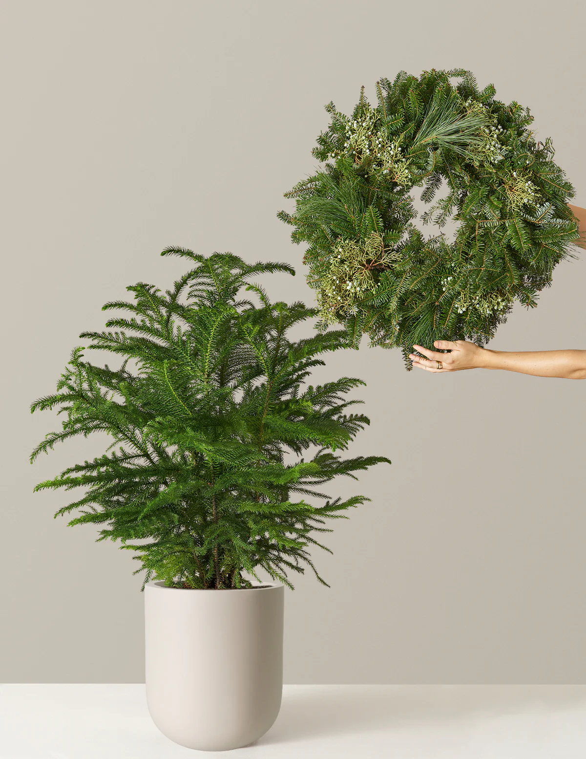 Holiday Duo Deluxe - Image 14