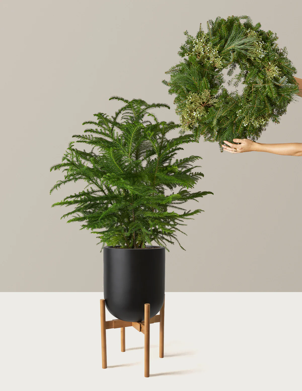 Holiday Duo Deluxe - Image 15