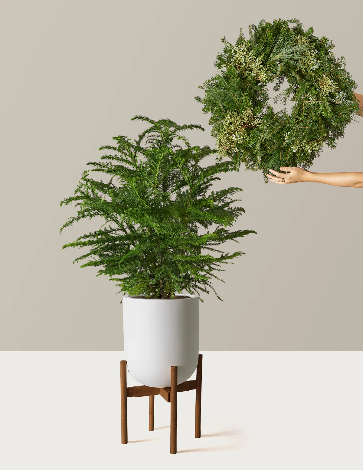 Holiday Duo Deluxe - Image 16
