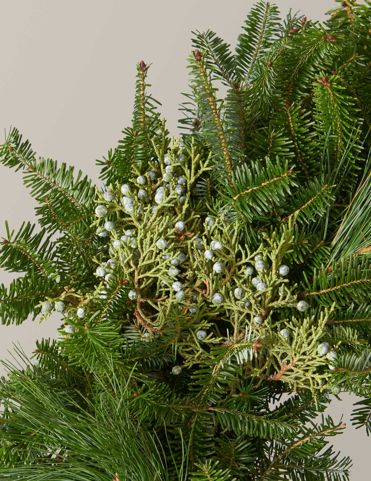 Holiday Duo Deluxe - Image 9