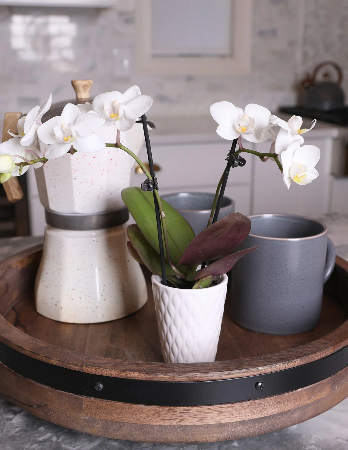 Mini Orchid - Image 6