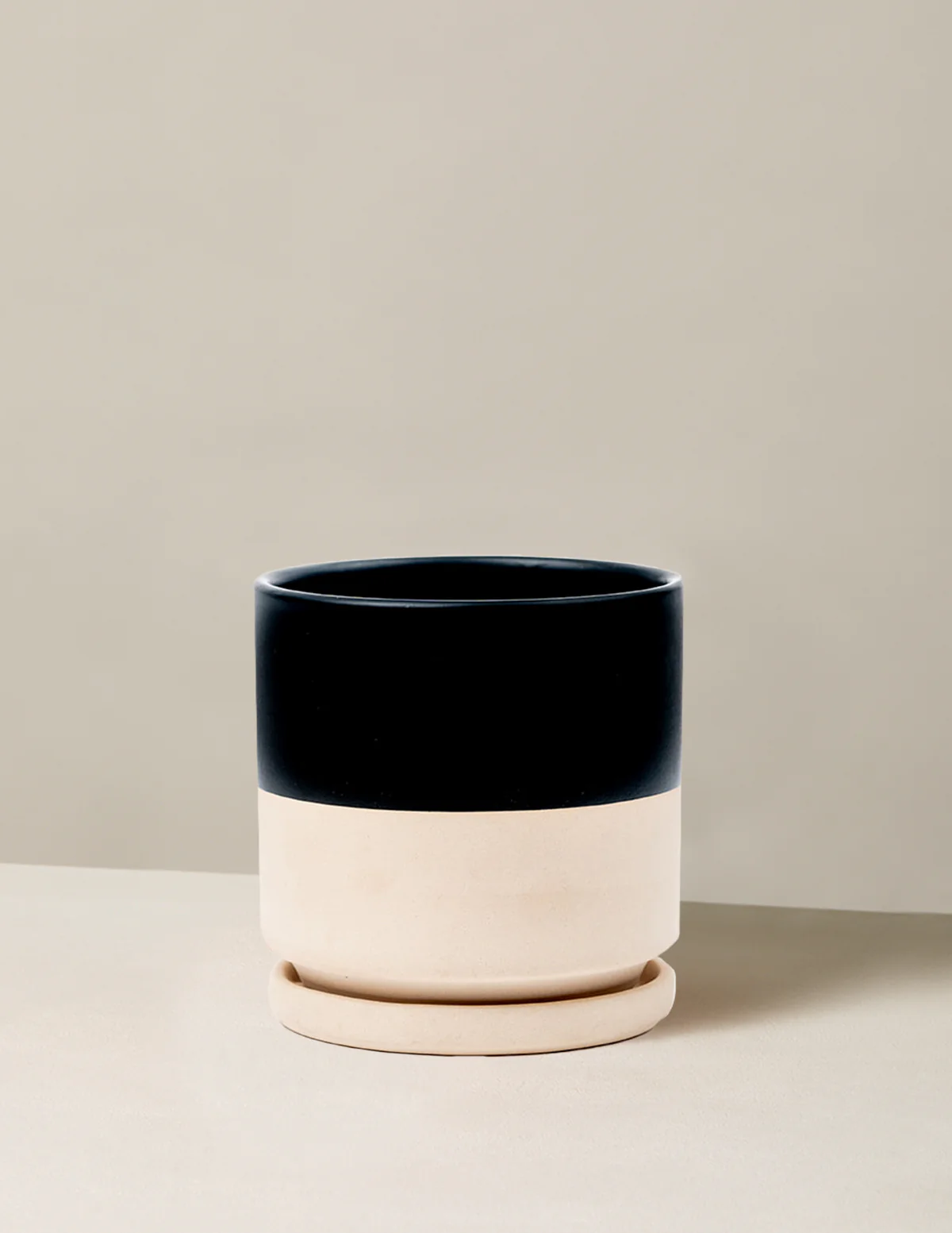 Isabella Planter (LGL) - Image 16