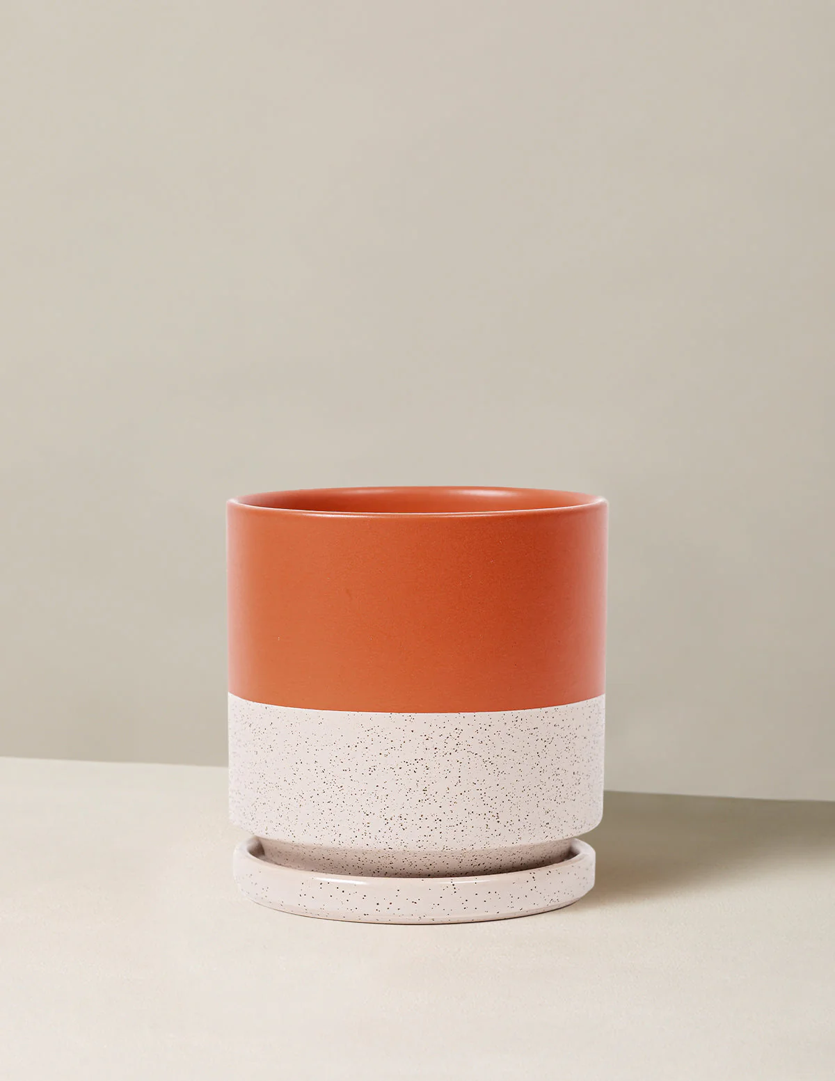 Isabella Planter (LGL) - Image 6