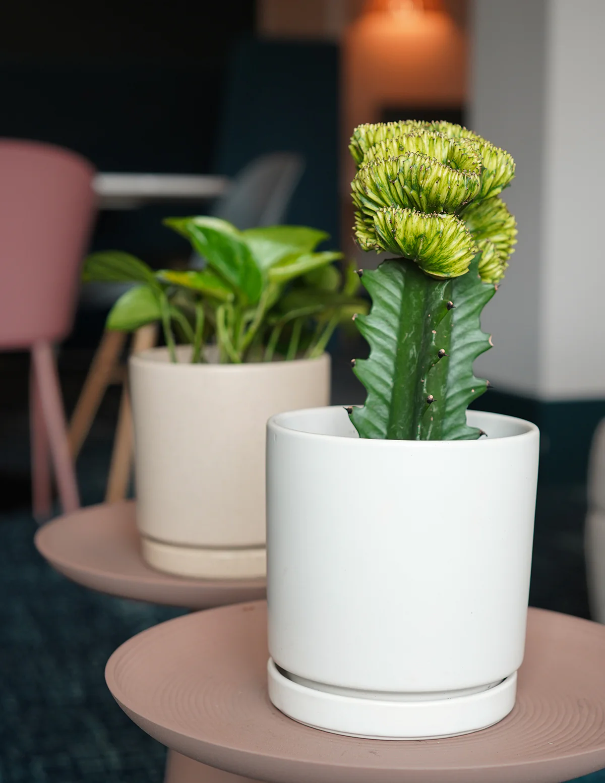 Isabella Ceramic Planter - Image 4
