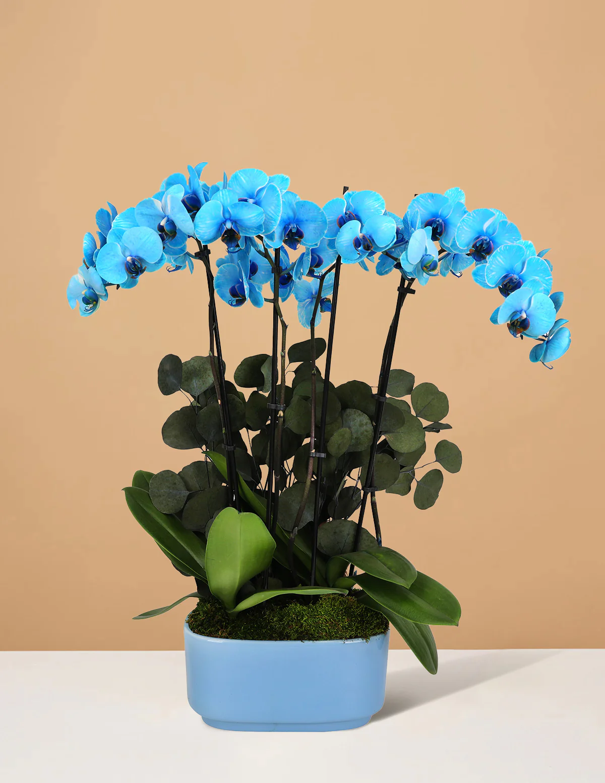 Large Double Orchid - Image 16