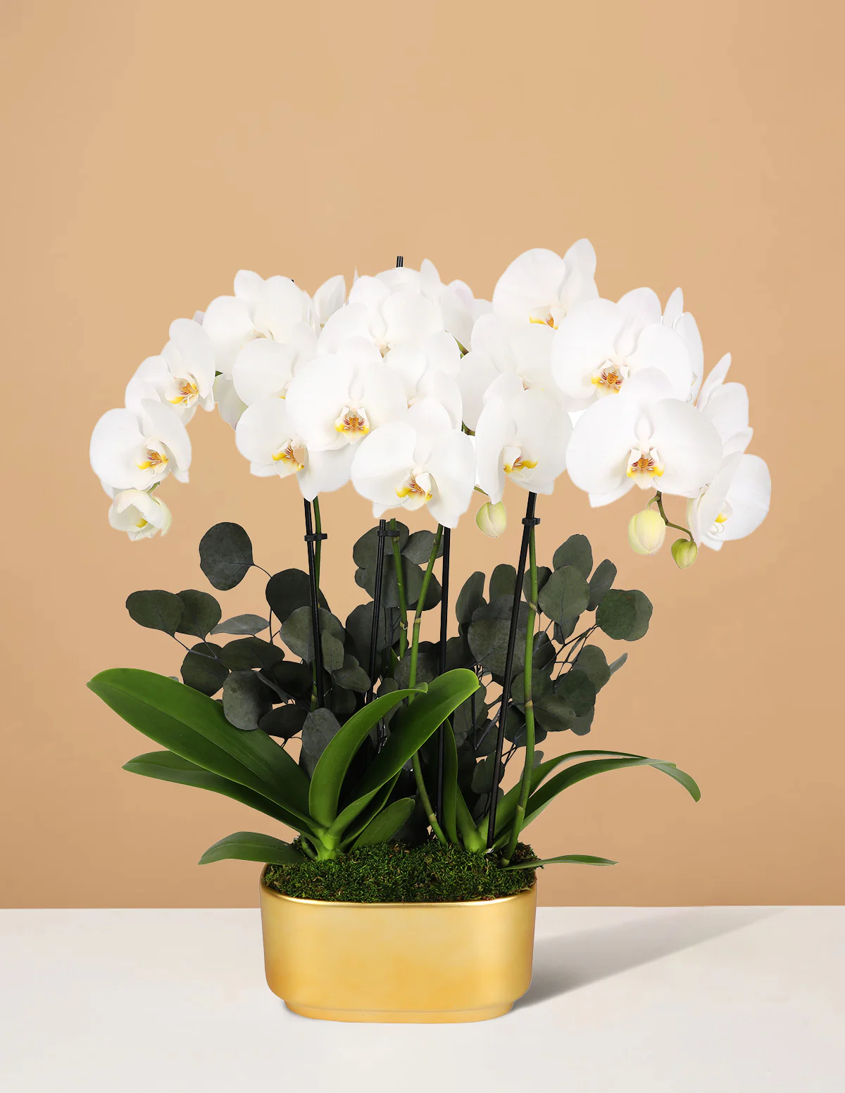 Large Double Orchid - Image 3