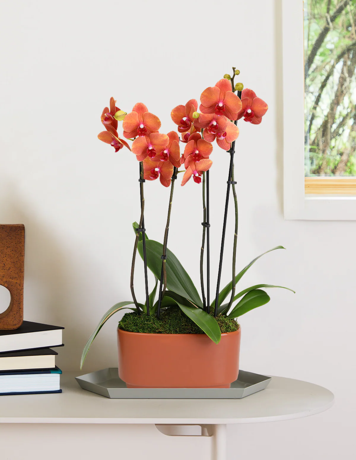 Large Double Orchid - Image 5