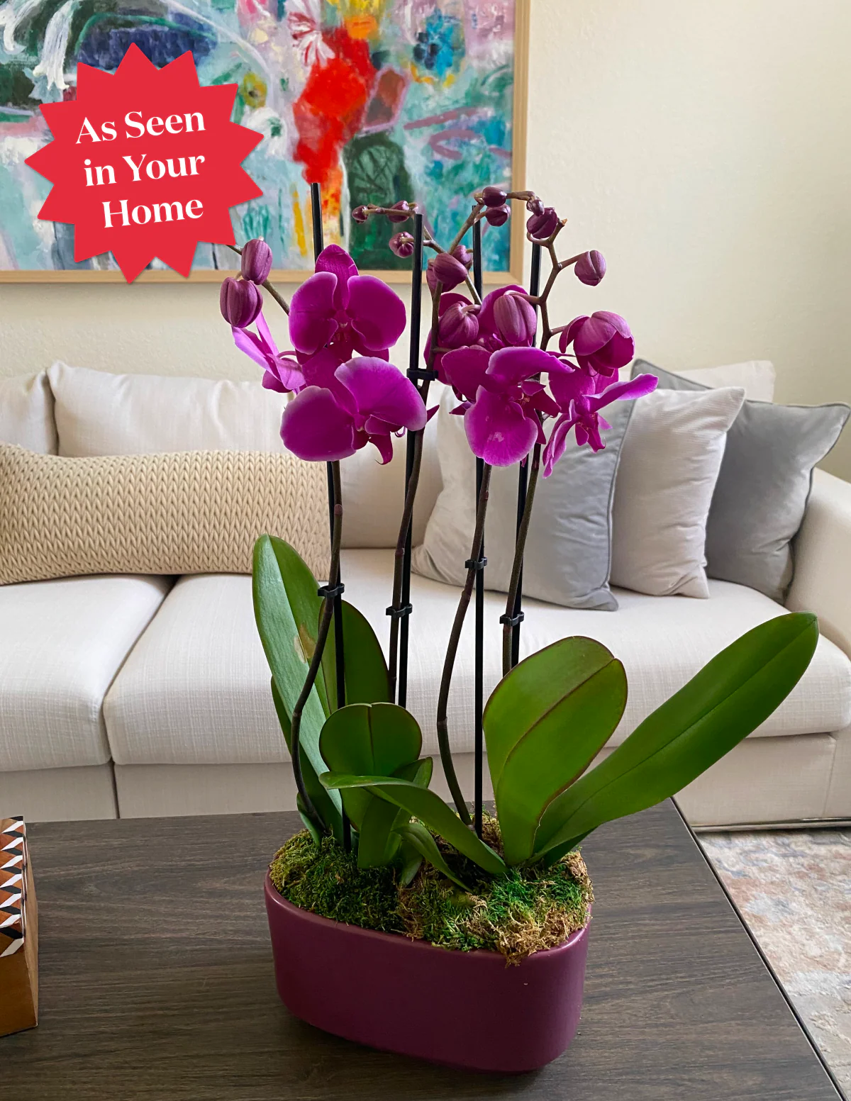 Large Double Orchid - Image 7