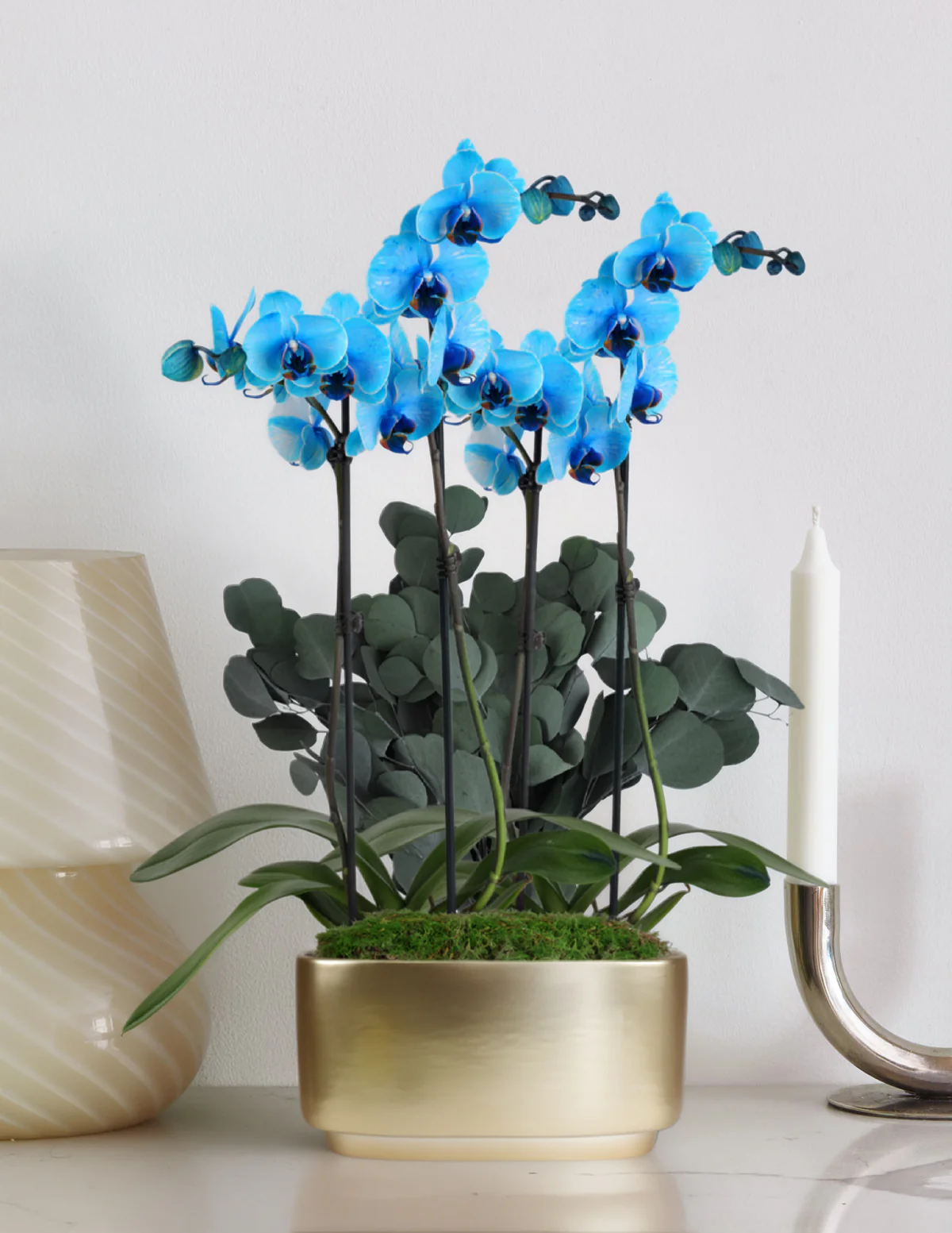 Large Double Orchid - Image 8