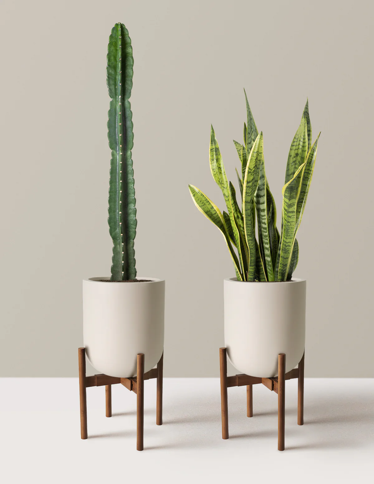 Large Set & Forget Duo - Image 21