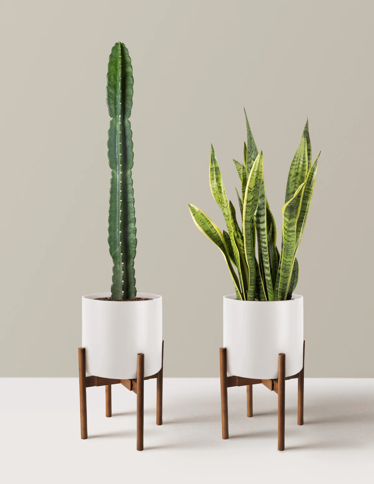 Large Set & Forget Duo - Image 8