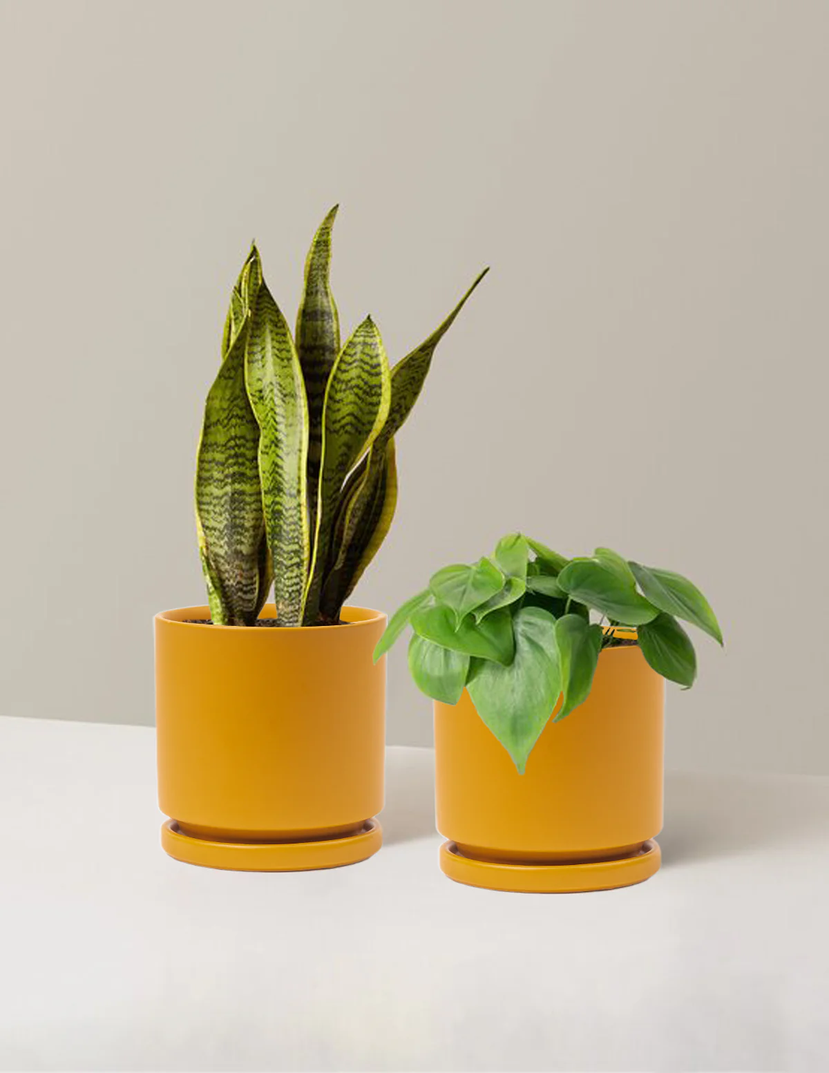 Living Room Duo - Image 10