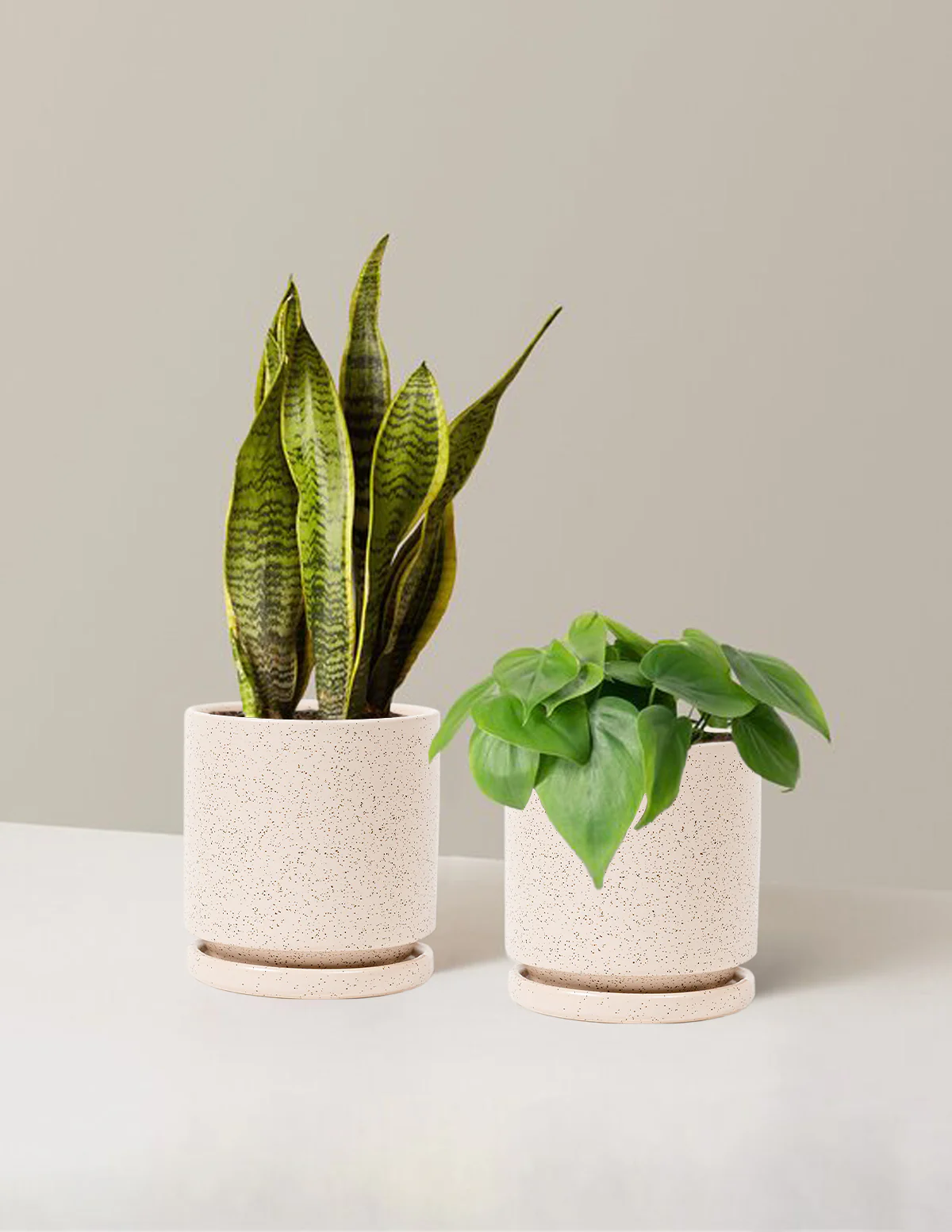 Living Room Duo - Image 14